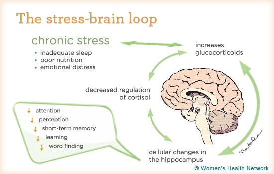 Severe Stress Memory Loss MAndela Effect