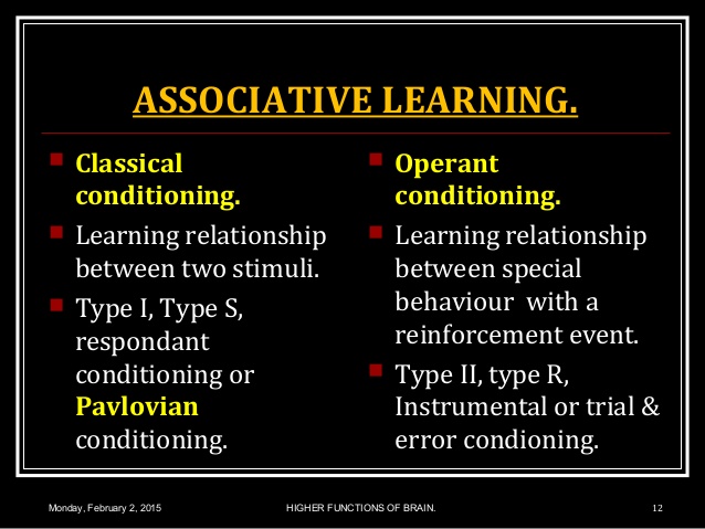 Mandela Effect Debunked Learning